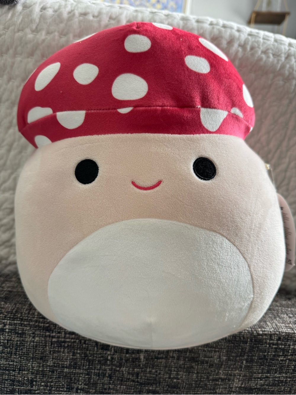 Squishmallow Malcolm mushroom